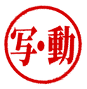 限定写真&動画